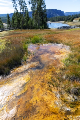 Penny Pond Yellowstone NP 2024